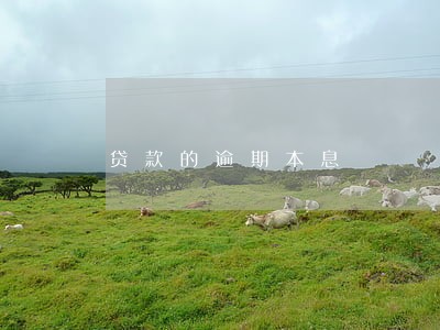 贷款的逾期本息