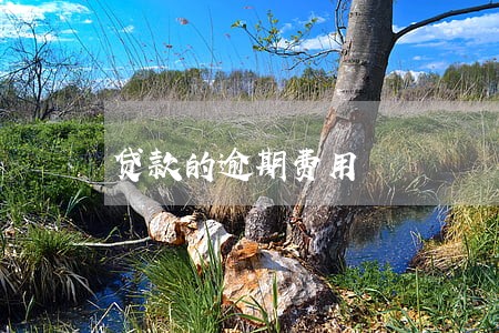 贷款的逾期费用 贷款的逾期费用