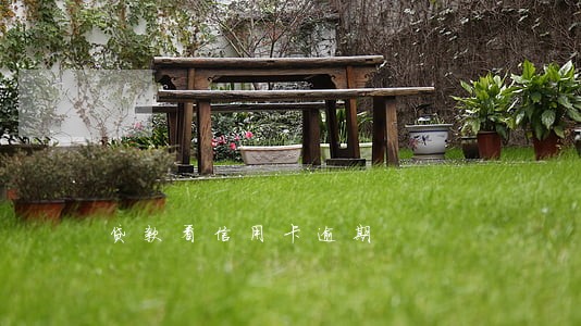 贷款看信用卡逾期 贷款看信用卡逾期