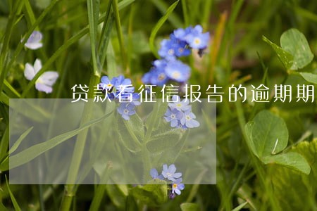 贷款看征信报告的逾期期数吗 贷款看征信报告的逾期期数吗