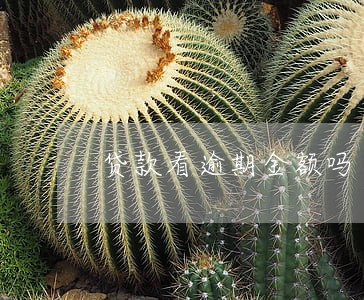 贷款看逾期金额吗 贷款看逾期金额吗
