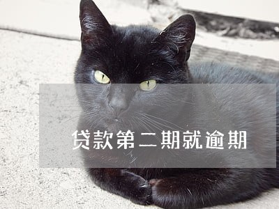 贷款第二期就逾期 贷款第二期就逾期
