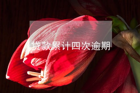 贷款累计四次逾期 贷款累计四次逾期