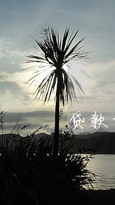 贷款经常逾期1天影响征信 贷款经常逾期1天影响征信
