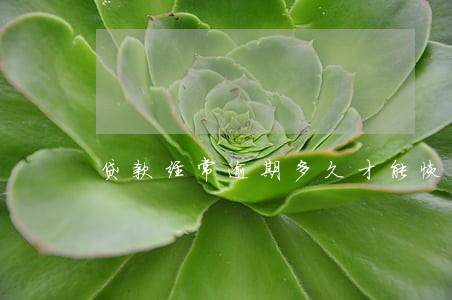 贷款经常逾期多久才能恢复 贷款经常逾期多久才能恢复