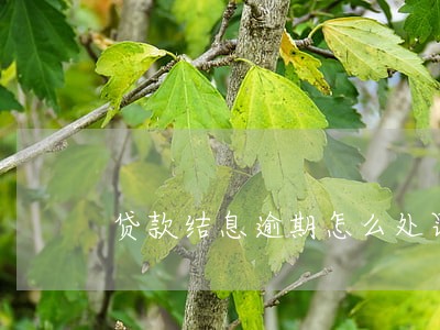 贷款结息逾期怎么处罚