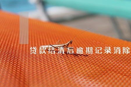 贷款结清后逾期记录消除 贷款结清后逾期记录消除