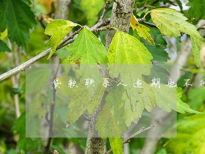 贷款联系人逾期也不行 贷款联系人逾期也不行