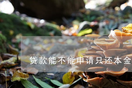 贷款能不能申请只还本金 贷款能不能申请只还本金