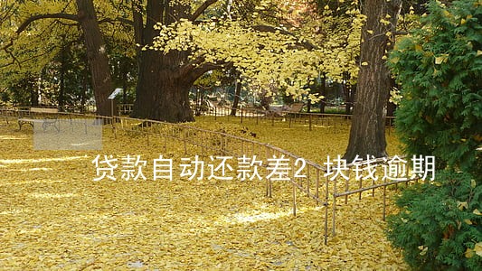 贷款自动还款差2块钱逾期 贷款自动还款差2块钱逾期