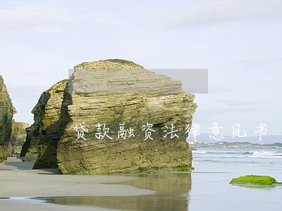 贷款融资法律意见书