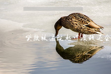 贷款被法院起诉没钱还会不会坐牢 贷款被法院起诉没钱还会不会坐牢