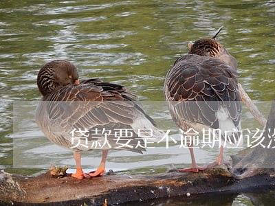 贷款要是不逾期应该没事吧 贷款要是不逾期应该没事吧