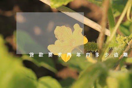 贷款要求两年内多少逾期