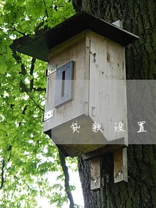 贷款设置为自动转逾期 贷款设置为自动转逾期