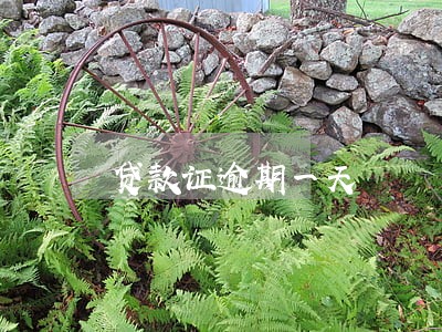 贷款证逾期一天 贷款证逾期一天