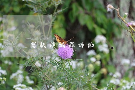贷款诈骗罪诉讼 贷款诈骗罪诉讼