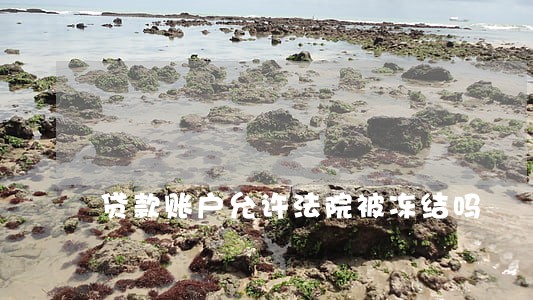 贷款账户允许法院被冻结吗
