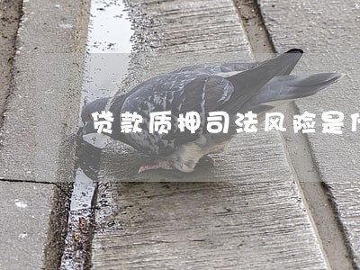贷款质押司法风险是什么