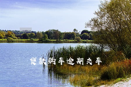 贷款购车逾期交车 贷款购车逾期交车