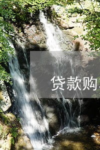 贷款购车逾期滞纳金