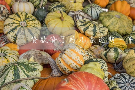 贷款贷了好几家逾期一年 贷款贷了好几家逾期一年