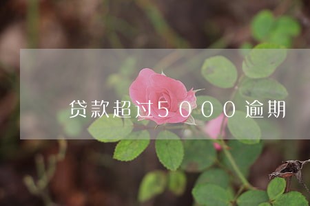 贷款超过5000逾期 贷款超过5000逾期