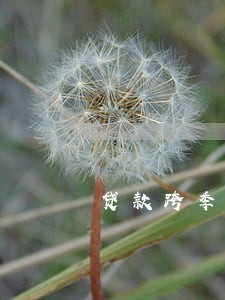 贷款跨季度逾期 贷款跨季度逾期
