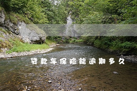 贷款车保险能逾期多久 贷款车保险能逾期多久