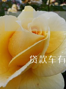 贷款车有逾期能检车么