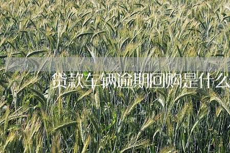 贷款车辆逾期回购是什么意思 贷款车辆逾期回购是什么意思