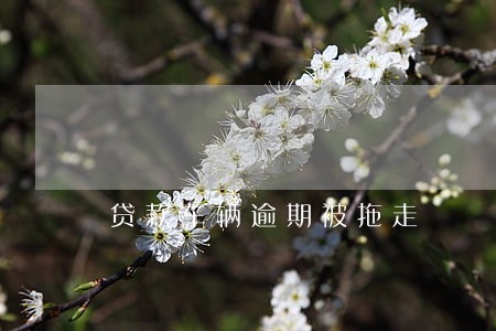贷款车辆逾期被拖走 贷款车辆逾期被拖走