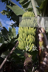 贷款车逾期3月保证金 贷款车逾期3月保证金