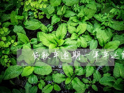 贷款车逾期一年车还能买吗 贷款车逾期一年车还能买吗