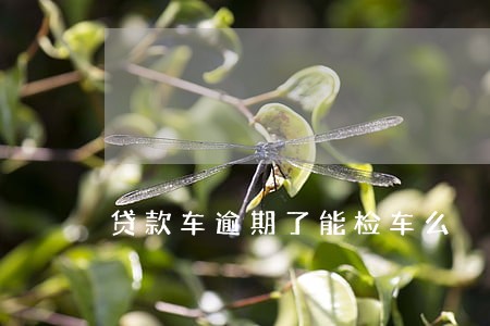 贷款车逾期了能检车么 贷款车逾期了能检车么