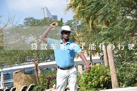 贷款车逾期了能补办行驶证吗 贷款车逾期了能补办行驶证吗
