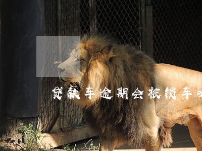 贷款车逾期会被锁车吗 贷款车逾期会被锁车吗