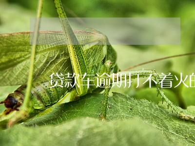 贷款车逾期打不着火的原因 贷款车逾期打不着火的原因