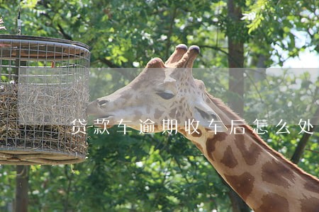 贷款车逾期收车后怎么处理