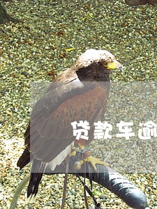 贷款车逾期被开走 贷款车逾期被开走