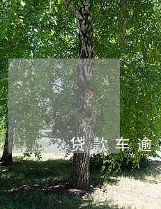 贷款车逾期被强行抢走 贷款车逾期被强行抢走