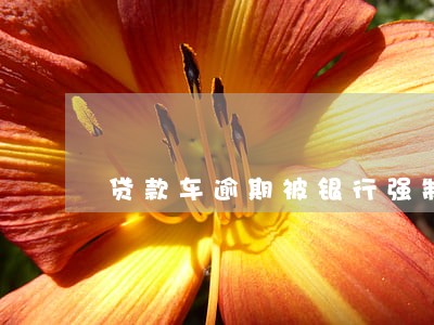 贷款车逾期被银行强制开走了解 贷款车逾期被银行强制开走了解