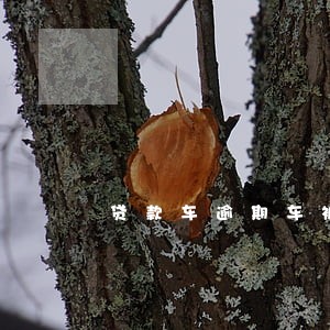 贷款车逾期车被收回怎么办 贷款车逾期车被收回怎么办