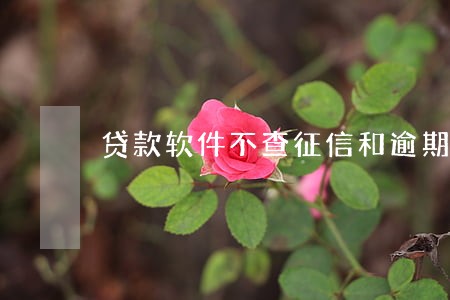 贷款软件不查征信和逾期 贷款软件不查征信和逾期