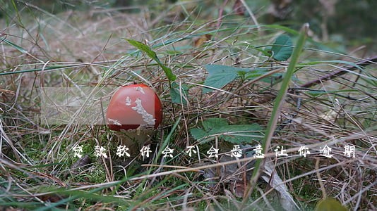 贷款软件会不会恶意让你逾期 贷款软件会不会恶意让你逾期