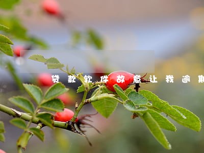 贷款软件故意让我逾期 贷款软件故意让我逾期