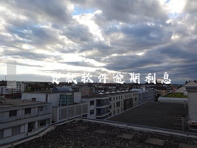 贷款软件逾期利息 贷款软件逾期利息