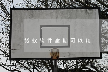 贷款软件逾期可以用 贷款软件逾期可以用