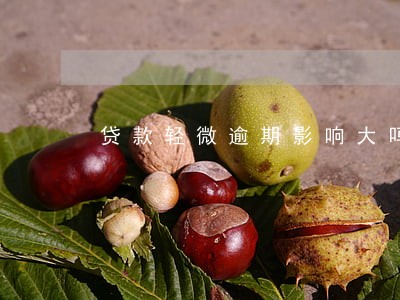 贷款轻微逾期影响大吗 贷款轻微逾期影响大吗