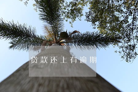 贷款还上有逾期 贷款还上有逾期